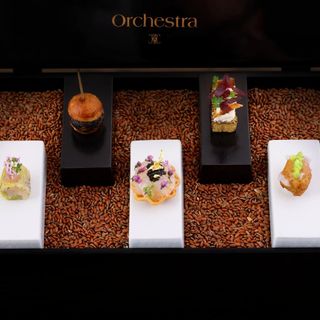 Orchestra - 12