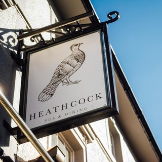 Heathcock - 5