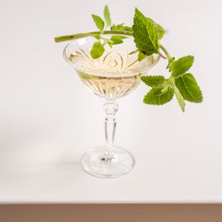 Humus x Hortense - 5
