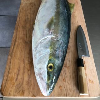 Buri Omakase - 1