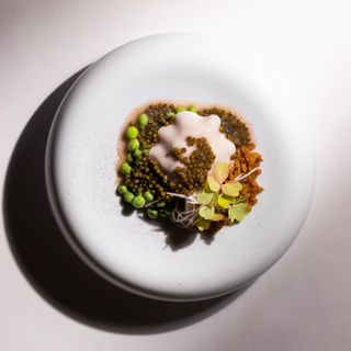Restaurant Le Meurice Alain Ducasse - 3