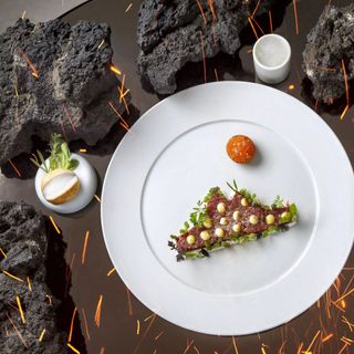 Caruso Roof Garden - 18