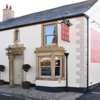 The Rum Fox - 1