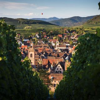 La Table du Gourmet - 6