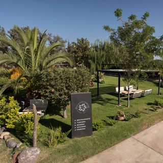Martino Wines - 6