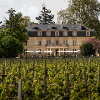 La Maison d'Estournel - 8