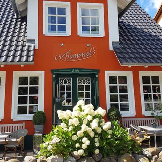 Schimmel's - 4
