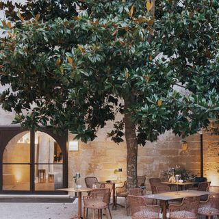 Gimmi Restaurant - 13