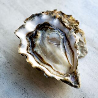 Fanny Bay Oyster Bar - 11