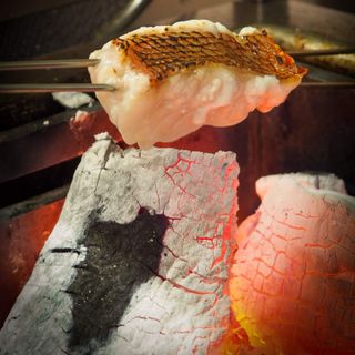 Fishølogy - 7