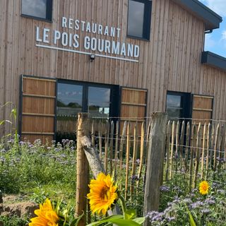 Le Pois Gourmand - 1