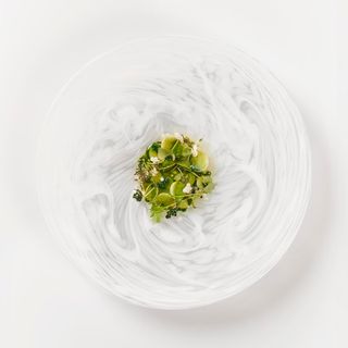 Geranium - 0