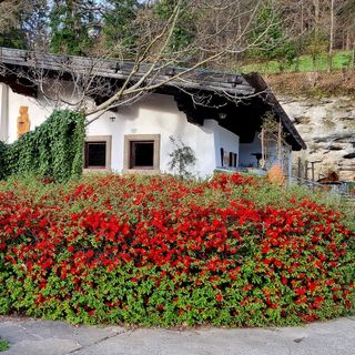 Kellerbauer - 1