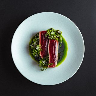 Tuna - 4