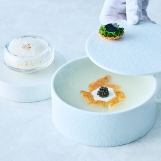 Plaiga TOKYO - 9