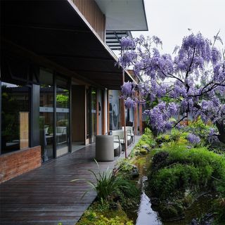 Silver Cottage - 2