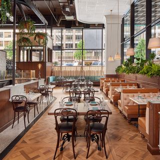 Dauphine's - 6