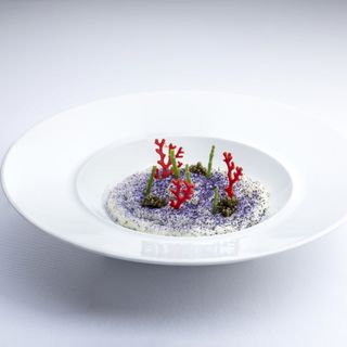 Osteria il Moro - 11