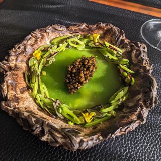 Aubergine - 8
