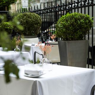 Zostera - Paris - 6
