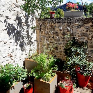 Le Cerisier - 1