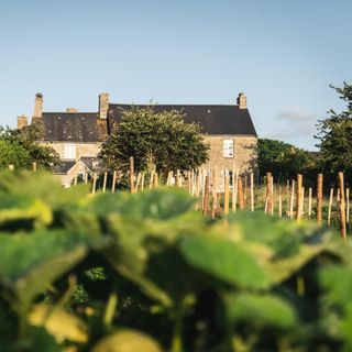 Auberge Sauvage - 1