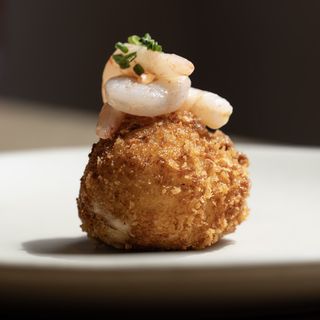 terra - 13