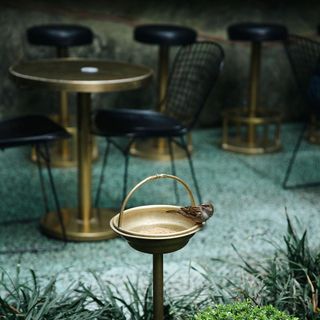 Casa Cavia - 16