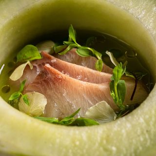 Fishølogy - 9