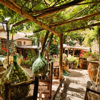 Trattoria Toscana al Vecchio Forno - 0