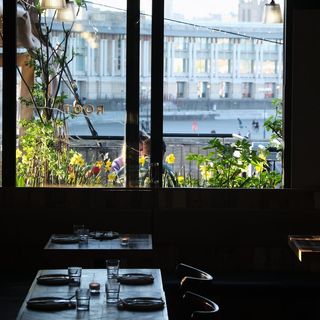 Root - 1