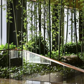 The Penthouse - 1