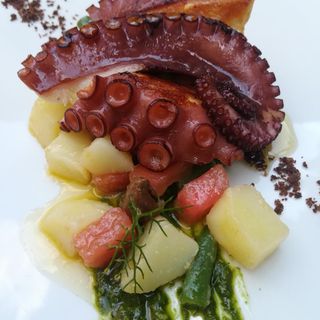 Antico Morer - 4