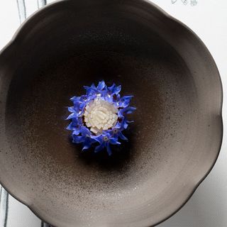 Blossom - 9