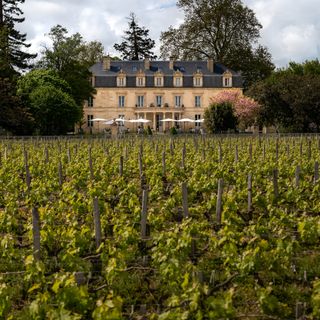 La Maison d'Estournel - 6