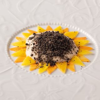 Il Palagio - 1