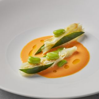 Wurzel - 8
