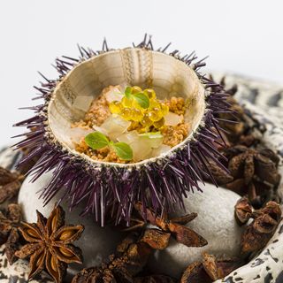 Tastavents - 9