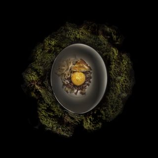 D.O.M. - 5