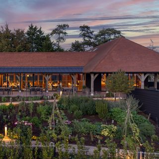 Hambledon Vineyard - 3