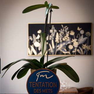 La Tentation des Mets - 2