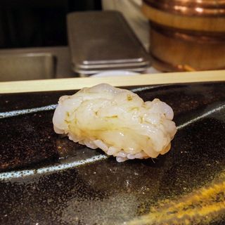 Sushidokoro Shigeru - 0