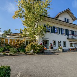 Hirschen - 4