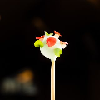 Beluga Loves You - 1