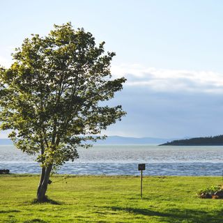 Côté Est - 1