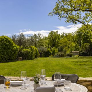 Lavandin - Château Les Oliviers de Salettes - 14