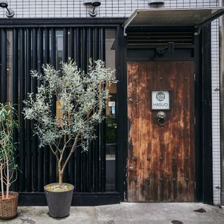 HASUO - 2