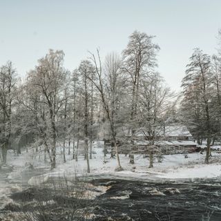 Knystaforsen - 9