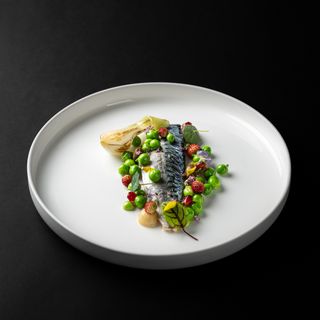 Le Délice du Jour - 6