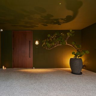 NOBUO - 2